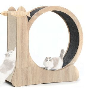 Laufrad passend für Katzen / Kratzfunktion LK3 Divit Katzenübungsrad aus Holz NEW